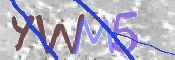 código CAPTCHA*